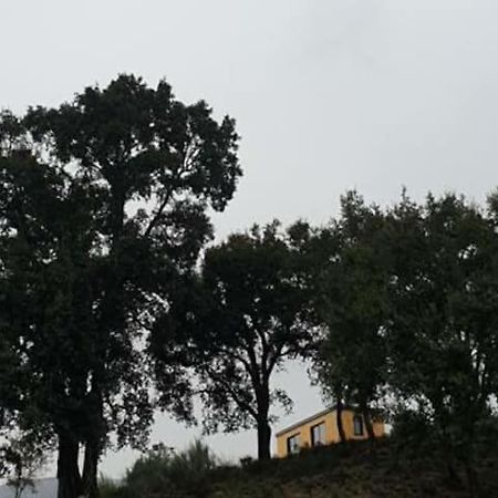 Casa D' Alem Turismo E Natureza - Refugio Do Sobreiro Cabeceiras de Basto Ngoại thất bức ảnh